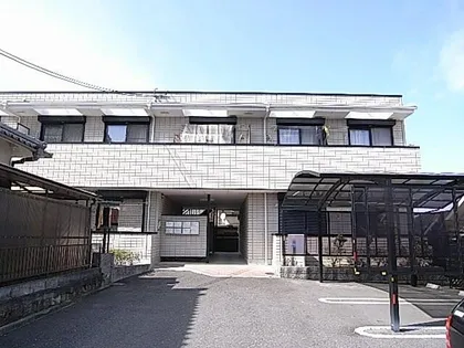 コーラルリーフの画像