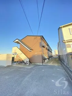 アムールもみの木の画像