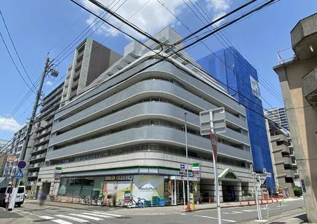 ラ・レジダンス・ド・シャトレーヌ【0502号室】の外観