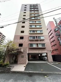 ネストピア平尾駅前【10階】の外観