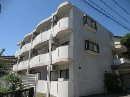 エバーグリーン明大寺【203号室】の外観