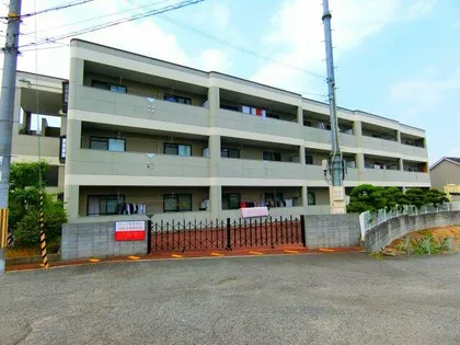 ジェントリーT M Yの画像