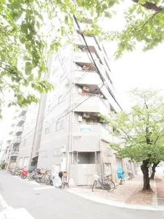 ハイネス磯路の画像