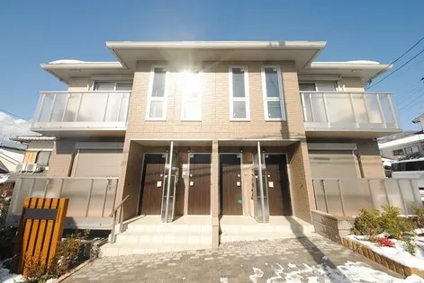 COCOシャカ堂の画像