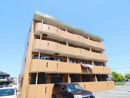 サルビアの画像