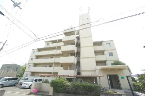 VIVACE HATAの画像