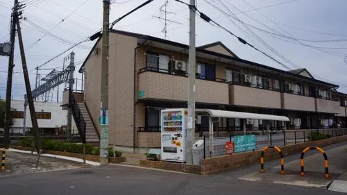 フローレスハタの画像