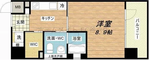 エイペックス東心斎橋Ⅱ【8階】の間取り