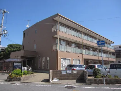 パストラル和の画像