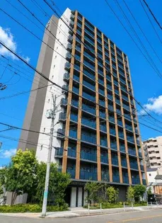 LC難波クレアの画像