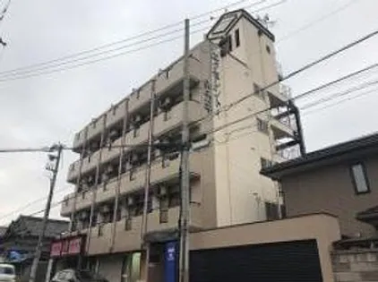 エクセレントサカキの画像