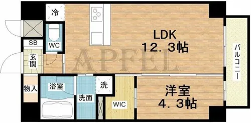 LEGALAND+難波南【3階】の間取り