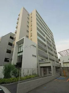 ハナミズキ福島の画像