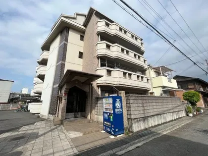 オリーブ沼町の画像