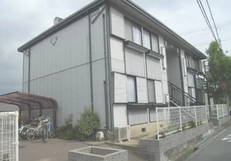 ウィンディアコスモスの画像