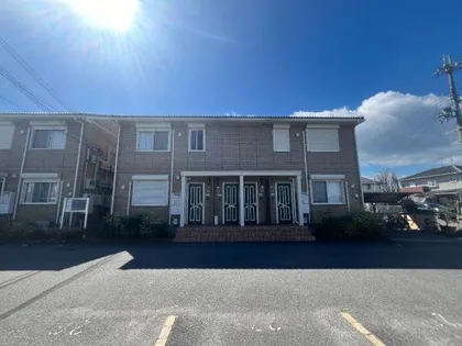 プラムパディーの画像