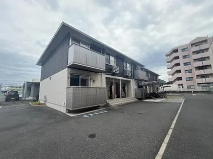 リミテッドの画像