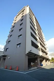 プロミネントコートの画像