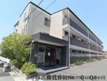 フレンセの画像