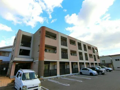 M Yコートの画像