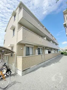 サウスメゾン秋桜【3階】の外観