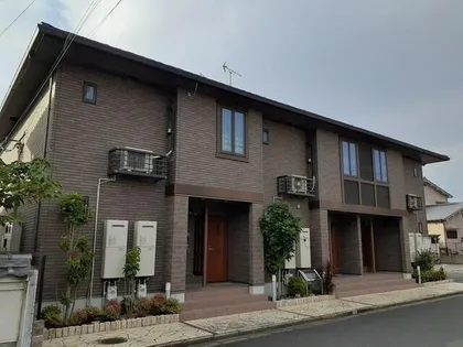 ジェントリー1の画像