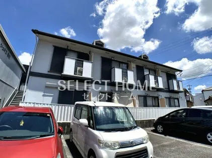 シェリール羽根の画像