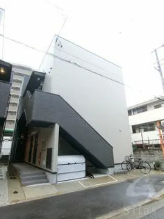 レグルスの画像