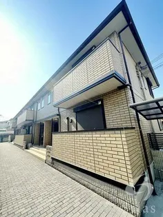 プリムローズの画像