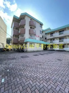 ルピナスの画像