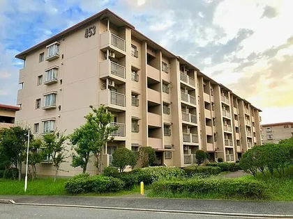 中落合第一住宅453号棟の画像