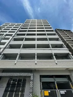 サヴォイラクアティックの画像