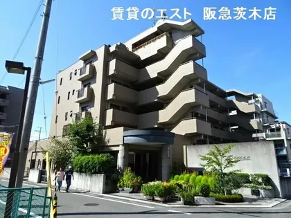 セレッソの画像