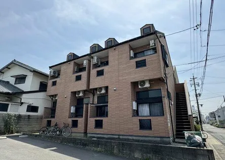 ブルーコートの画像