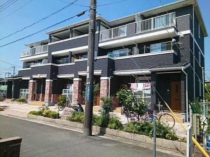 ストレリチア オーガスタの画像