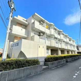 アルフエイムの画像