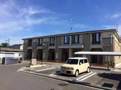 パイン ツリーの画像