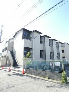 GIRASOLEの画像