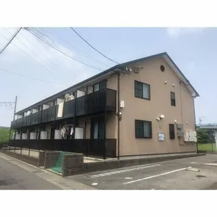 アンプルールリーブル彩美の画像