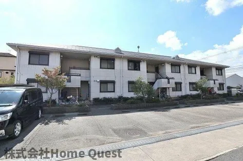 メゾンモチの木の画像