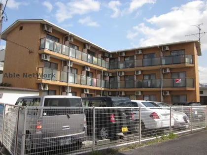 スクエア錦織の画像