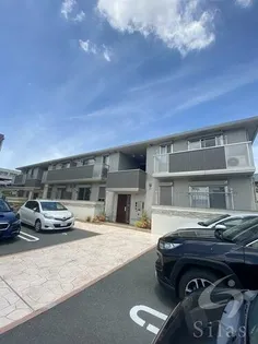 アローラの画像