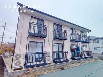 ブライトカメリアの画像