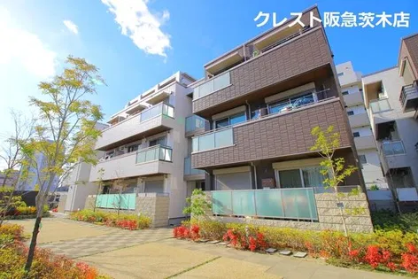 アンビエラ天王の画像
