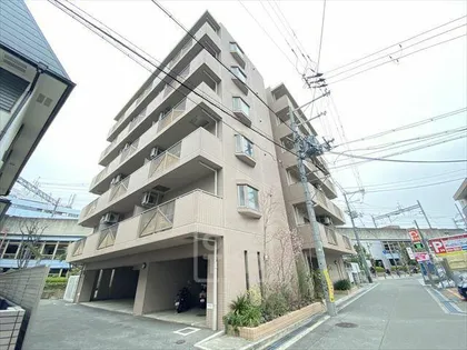 セリバノーブルの画像