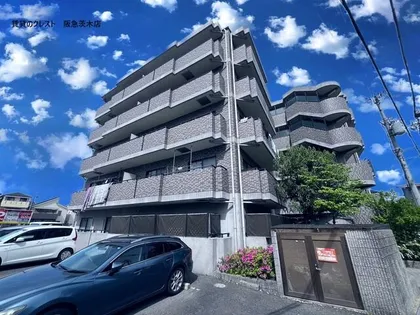 マーコートの画像