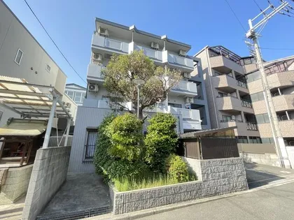 コアティーパート1の画像