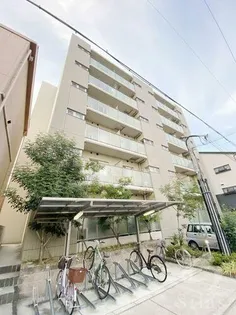 PURE SYMPHONYの画像