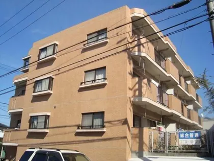 シャンポール葵の画像