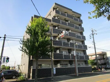 ペガサス34の画像